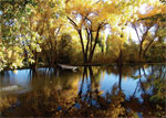 Pond In Fall