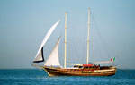 Sailing Boat