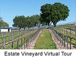 Estate Vinyard Virtual Tour